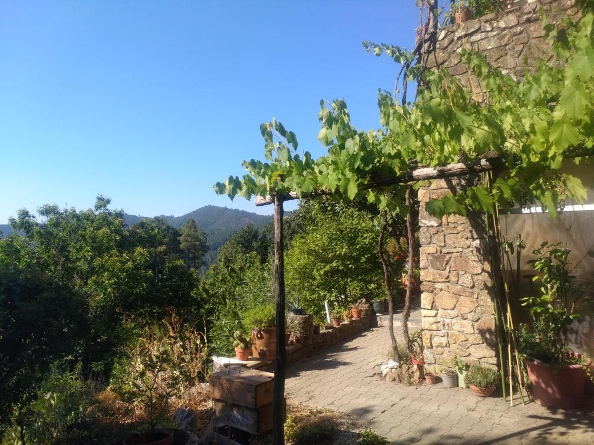 Les Jardins D'Arbousse Hotel Saint-Jean-du-Gard Bagian luar foto