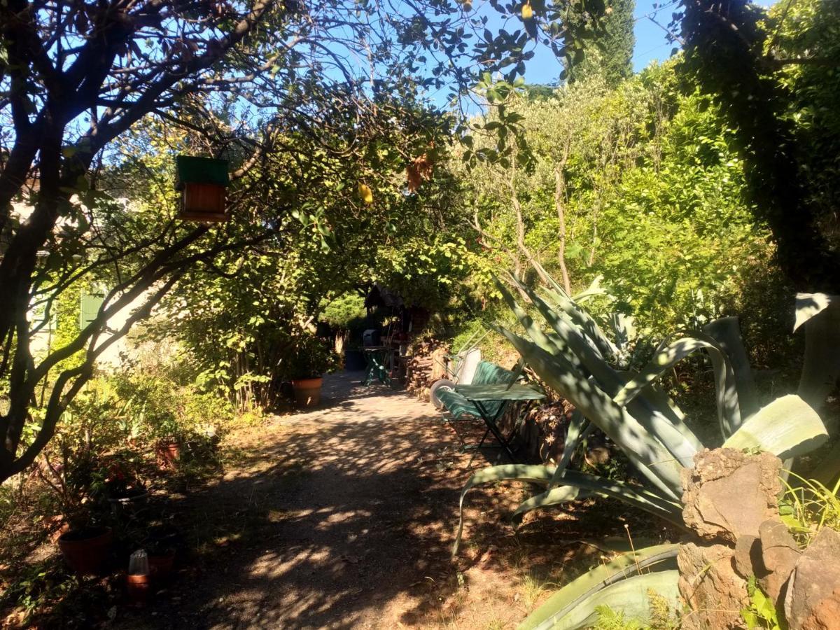 Les Jardins D'Arbousse Hotel Saint-Jean-du-Gard Bagian luar foto